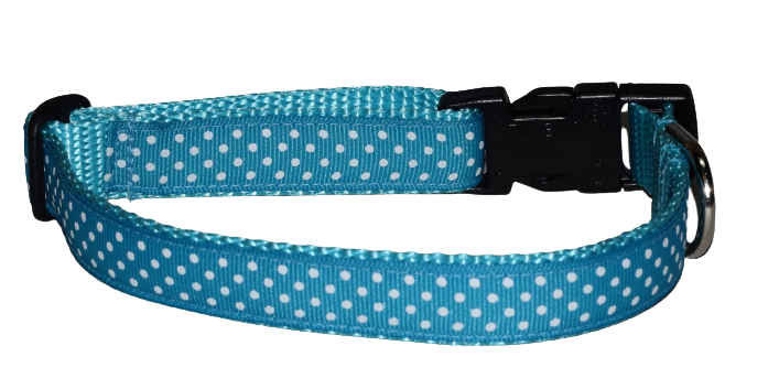 Dots Swiss White Turquoise Wholesale Dog and Cat Collars