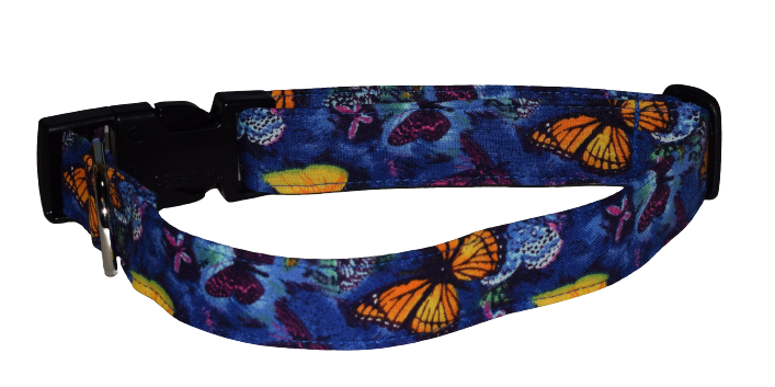 Butterflies Blue Gold Wholesale Dog and Cat Collars
