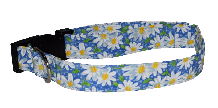Daisy Blue Wholesale Dog and Cat Collars