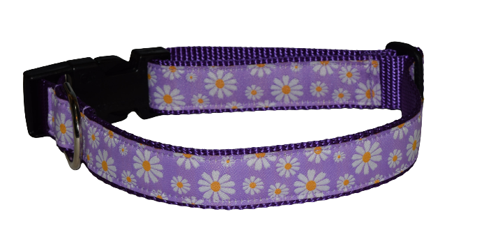 Daisey Purple Wholesale Dog and Cat Collars