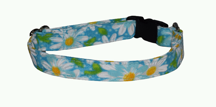 Flowers Daisy Turquoise Wholesale Dog and Cat Collars