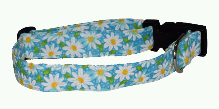Daisy Turquoise Wholesale Dog and Cat Collars