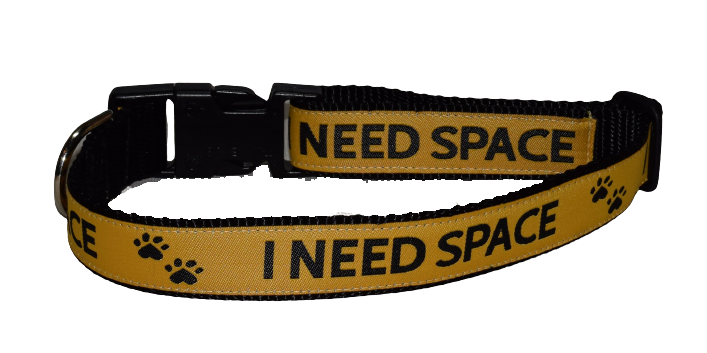 I Need Space Wholesale Dog and Cat Collars